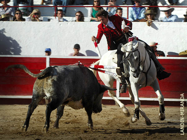 Banderilla corta