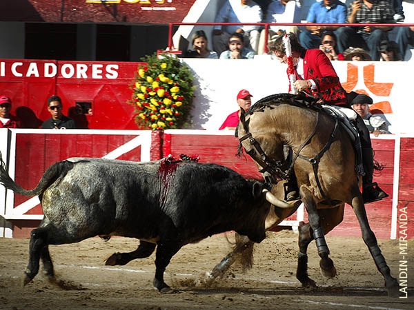 Faena llena de detalles