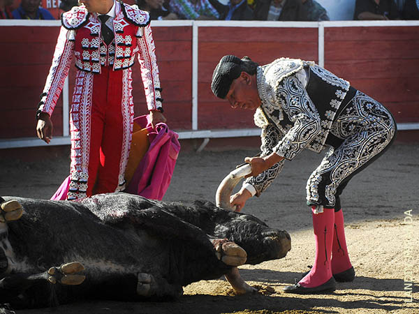 Cachetazo de Guillermo