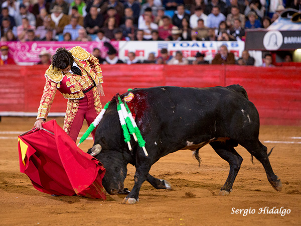 Metido en la muleta