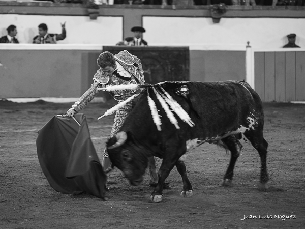 El Payo, faena de altos vuelos