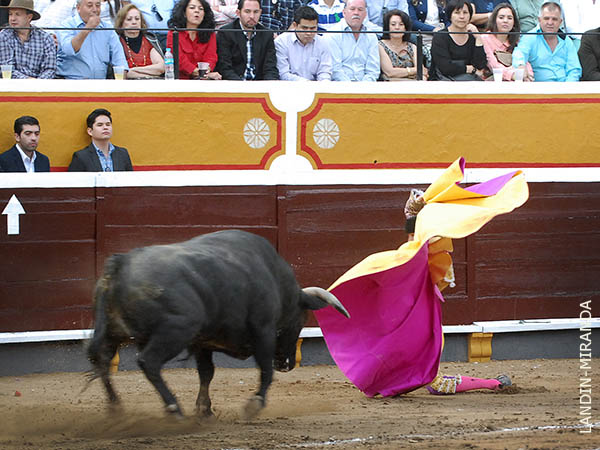 El saludo de Saldvar