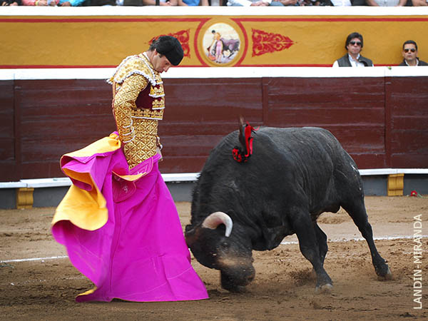 Fernando abre el carnaval