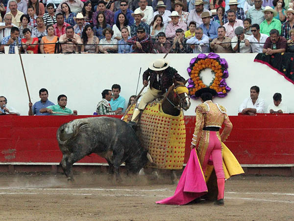 Debajo del peto