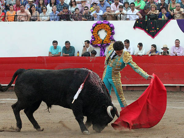 Rozando la arena con la tela