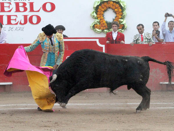 El saludo de Snchez