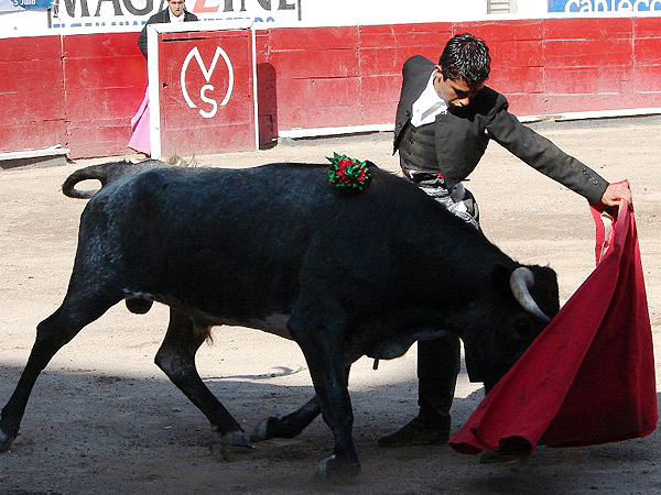 Estirndose en el natural