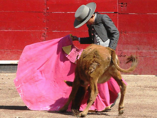 Luisito Martnez, el ms chavalillo