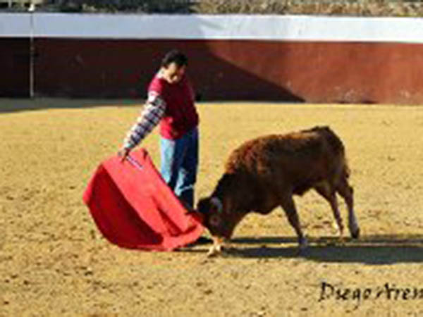 Una tienta con los lvaro