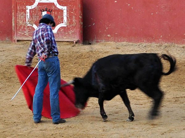 Tienta en Juan Pedro Domecq