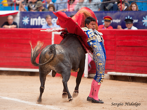 No importa caer en el intento