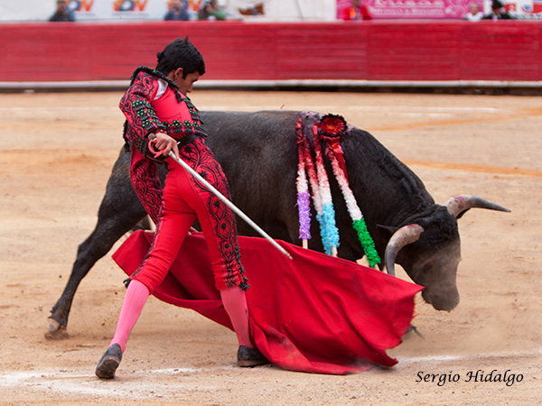 Sebastin Palomo, detalles