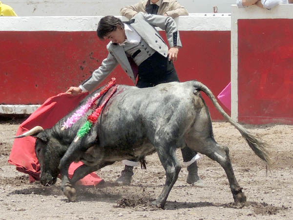 Con el hierro de Garfias