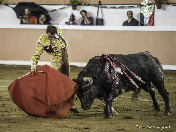 Momentos de lucimiento