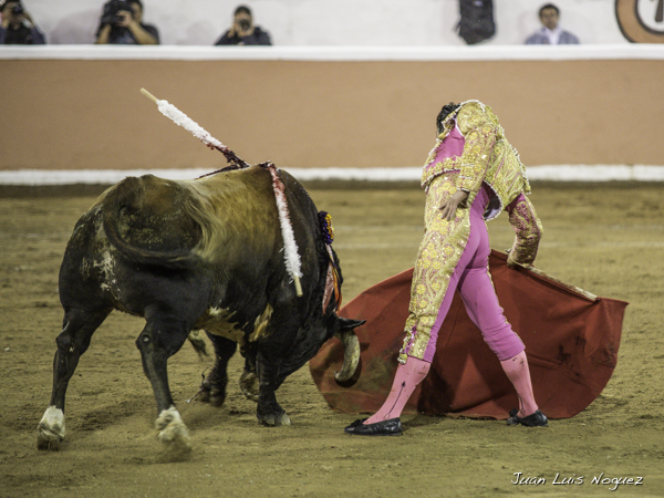 Todos los toros tienen su lidia