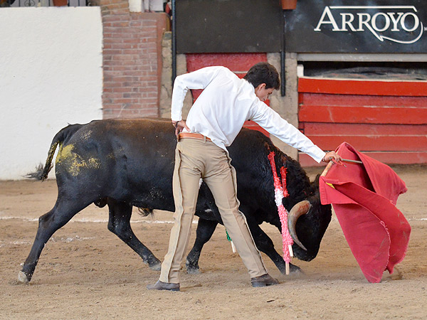 Asentado y alargando el trazo