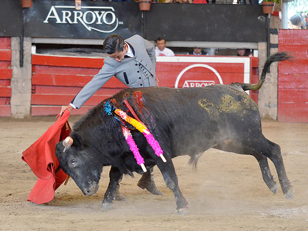 Fundidos toro y torero