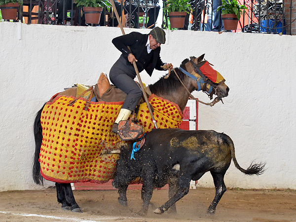 Peleando de verdad