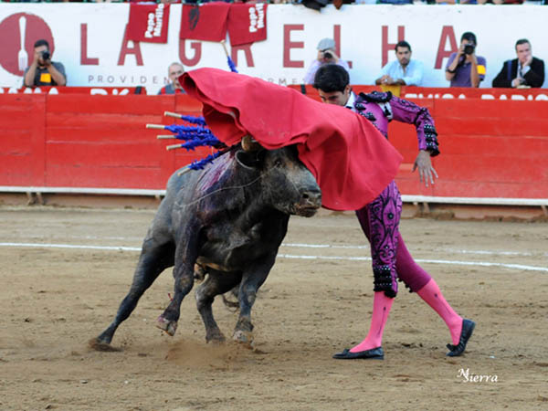 Se hizo del toro con pases por alto