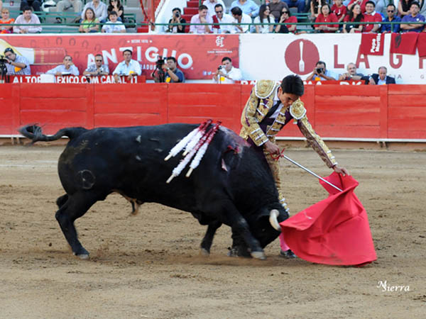 Entendimiento con la mano zurda