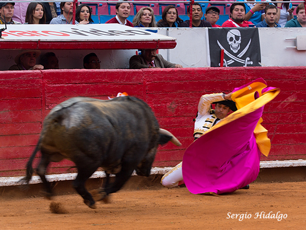 Buscando el triunfo como novillero