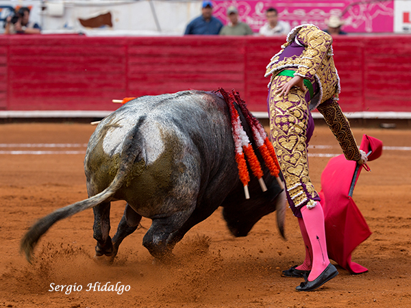 Detalles de gran calidad