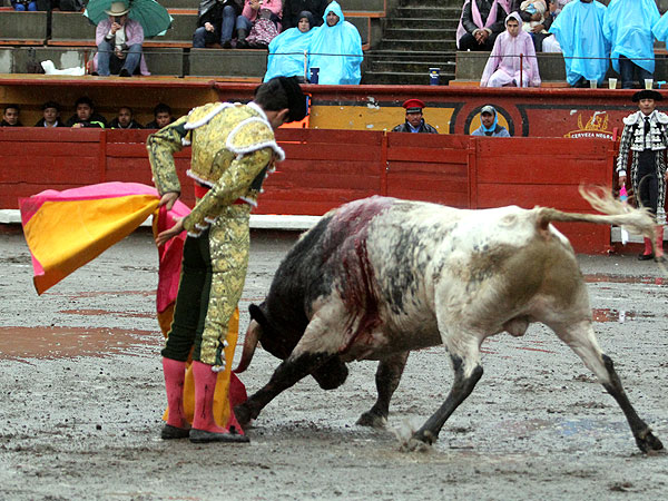 Metiendo la cara