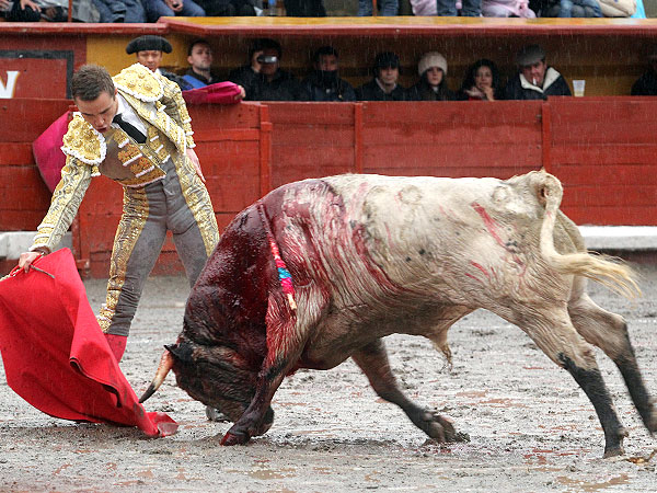 Rompieron Toro y Torero