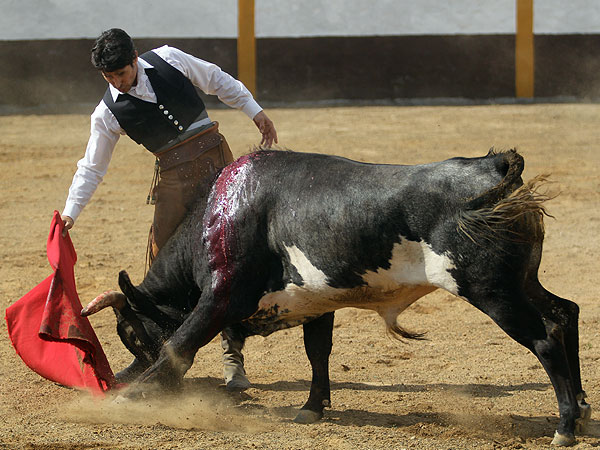 La muleta al hocico