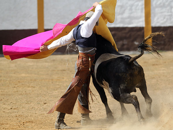 Pizarro mat un toro