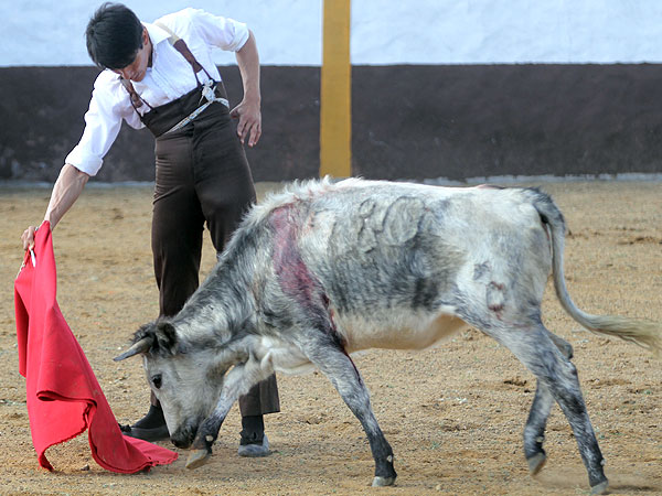 Calidad y tersura