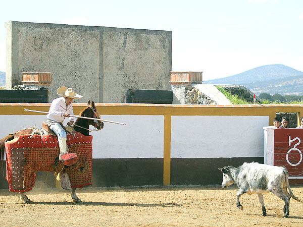 Arrancando de largo