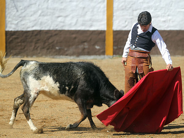 El torero de la casa