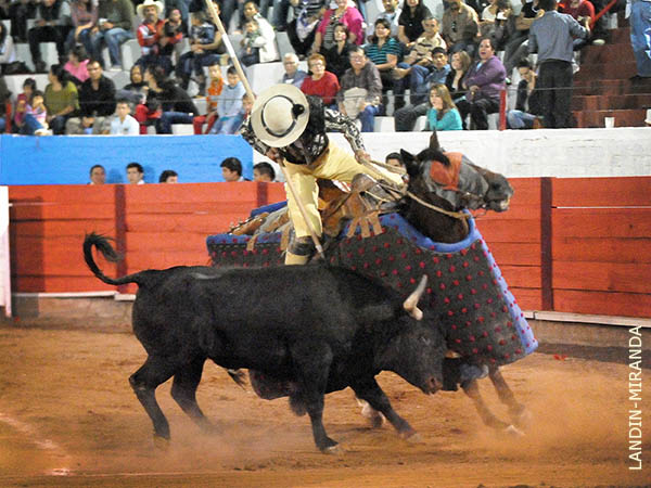 Guillermo Cobos, palmas en la vara