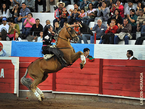 Adornos del caballista