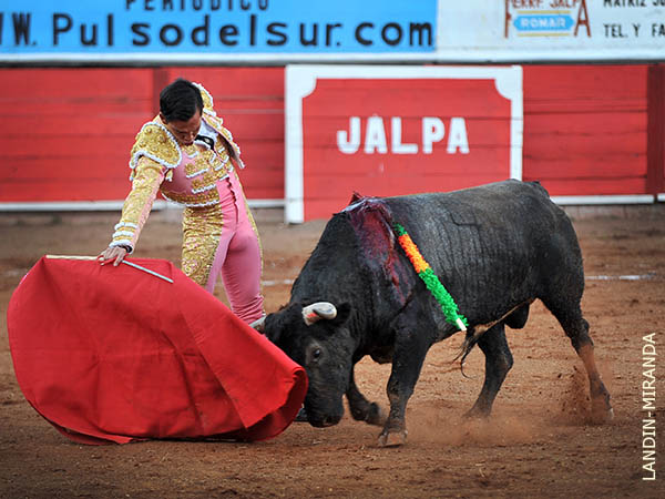 Fijo en la tela