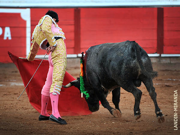 Cargando la suerte