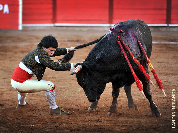 Alardes de valor