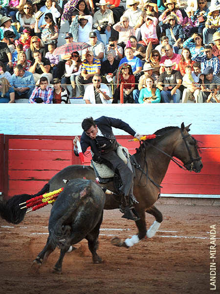 Corta al estribo