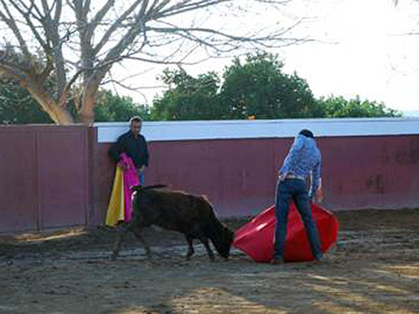 Tirando del ejemplar