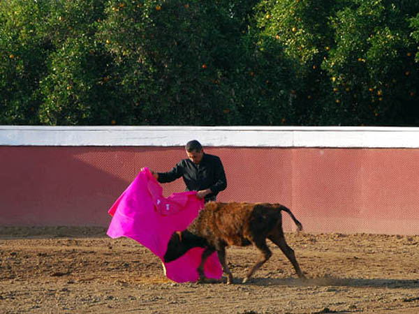 Primeros lances de Lalo