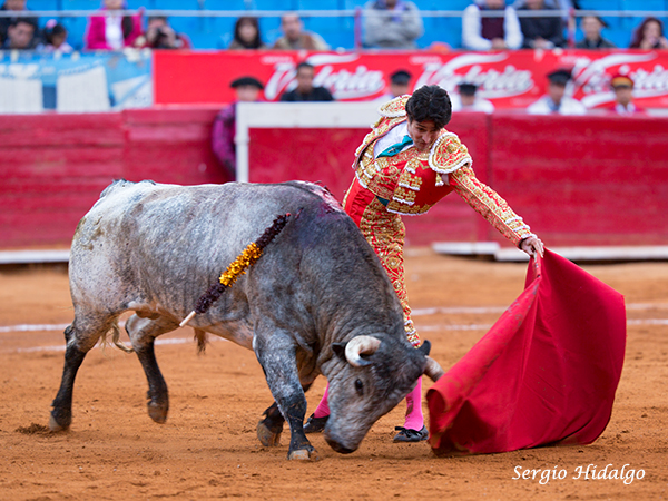 Torero verdad