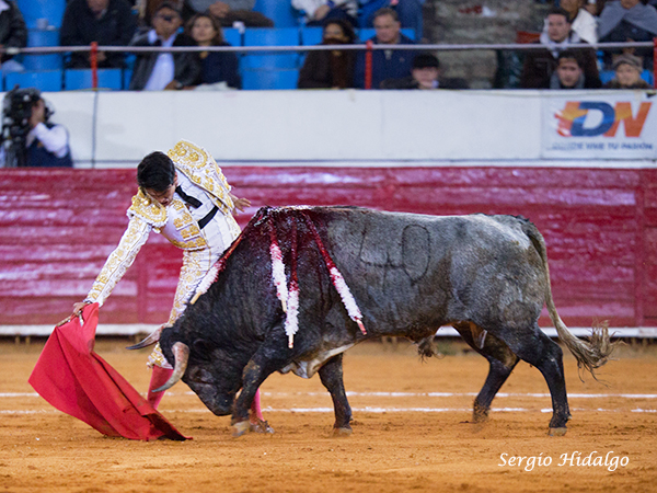 Por ganas no paro