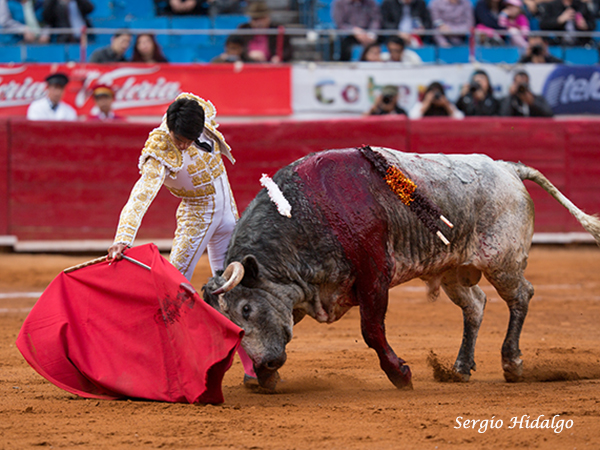 Momentos de arte