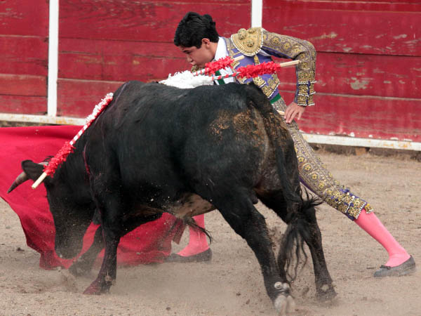 Primeros muletazos