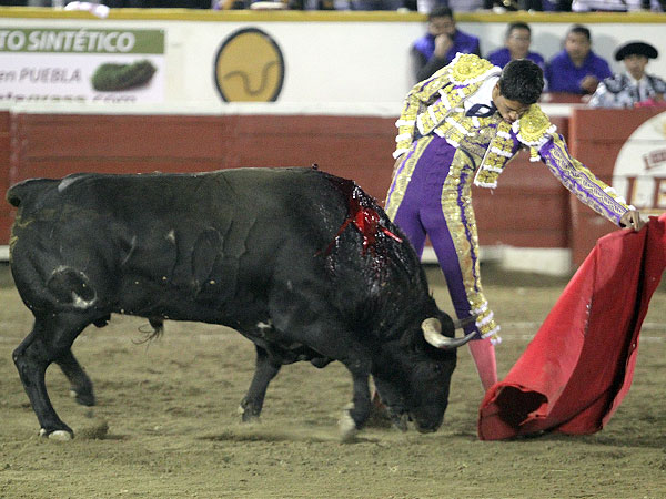 Un torero con oficio