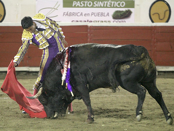 La muleta bajo el hocico