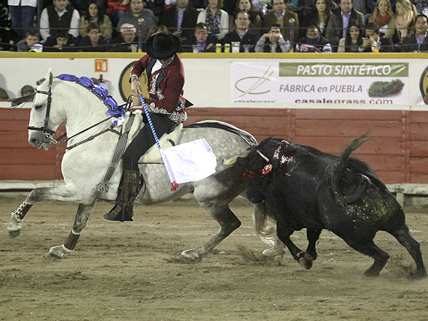 Encelando al Toro