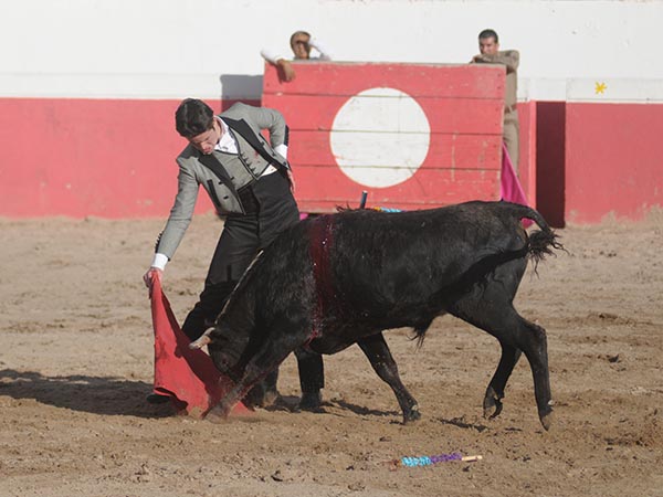 Cosido a la muleta