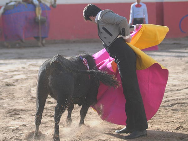 La gaonera de Forastieri